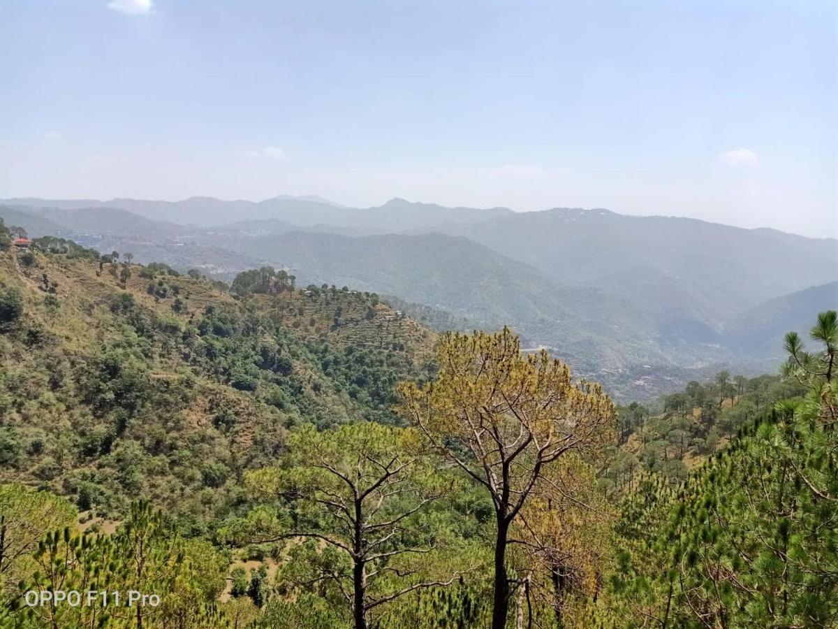 Pine Peak Villa Kasauli Exterior foto