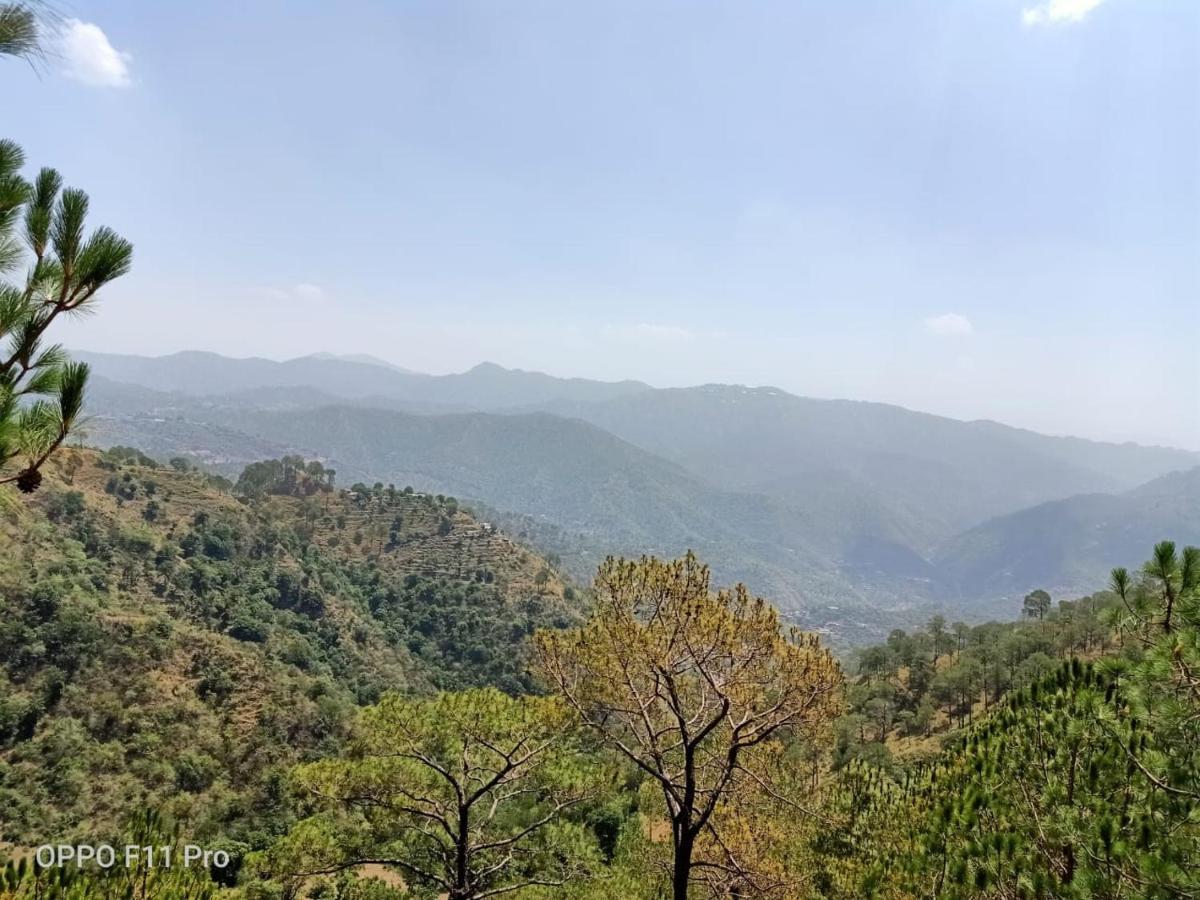 Pine Peak Villa Kasauli Exterior foto